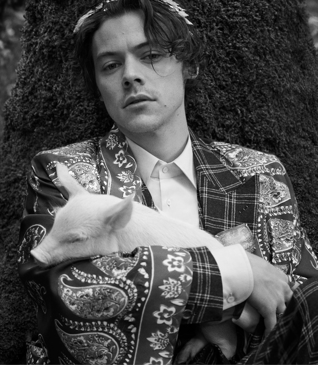 Harry Styles w kampanii męskiej kolekcji Gucci Cruise 2019