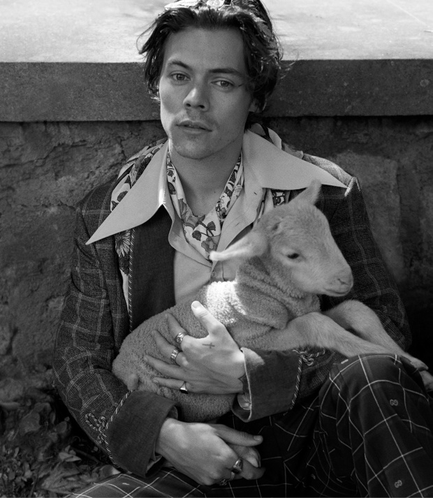 Harry Styles w kampanii męskiej kolekcji Gucci Cruise 2019