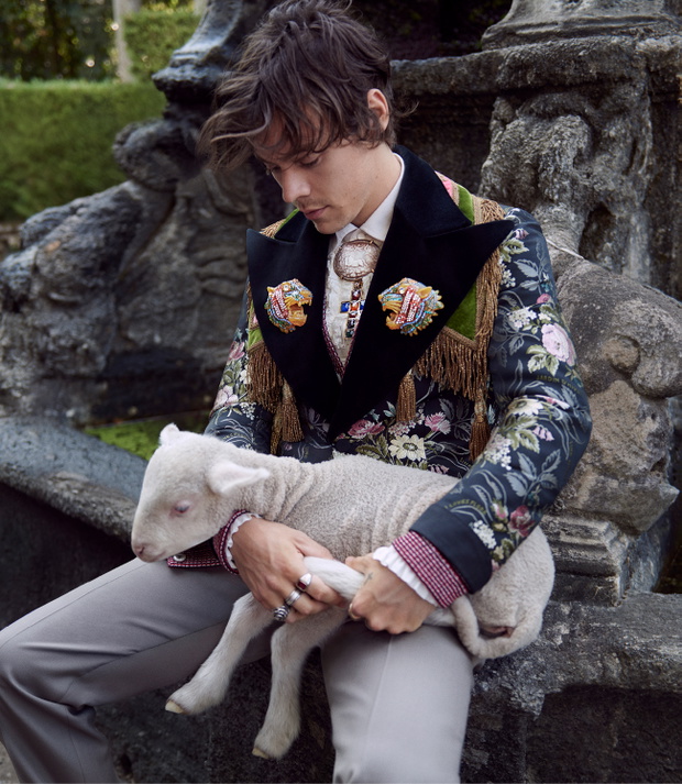 Nowa i kolejna kampania Gucci z Harrym Styles’em ( i małymi zwierzątkami) to najlepsze, co dzisiaj zobaczycie!