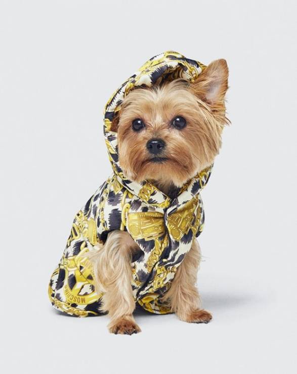 H&M x Moschino - lookbook