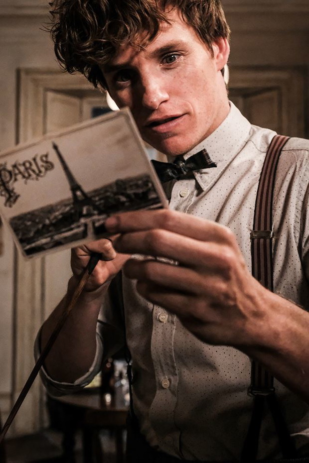 W rolę badacza, pisarza i eksperta od magicznych stworzeń wcieli się ponownie Eddie Redmayne.