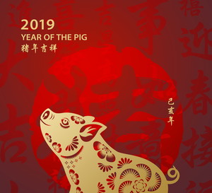 Horoskop chiński 2019 - rok świni (dzika)
