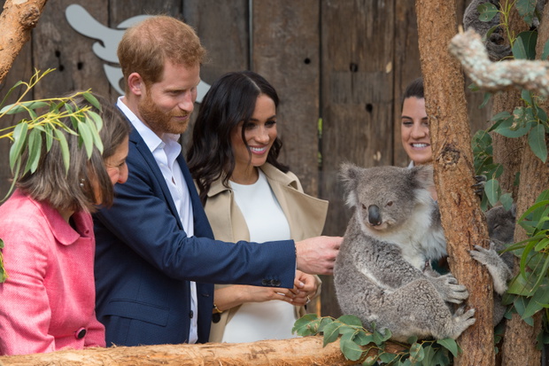 Meghan Markle i książę Harry