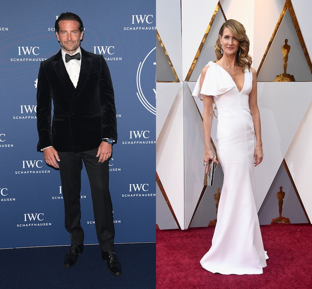 Bradley Cooper i Laura Dern wybrali się na wspólny obiad i spacer. Fani nie mają wątpliwości, że się spotykają.