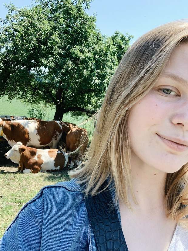 Spotkałam krowy Milka!