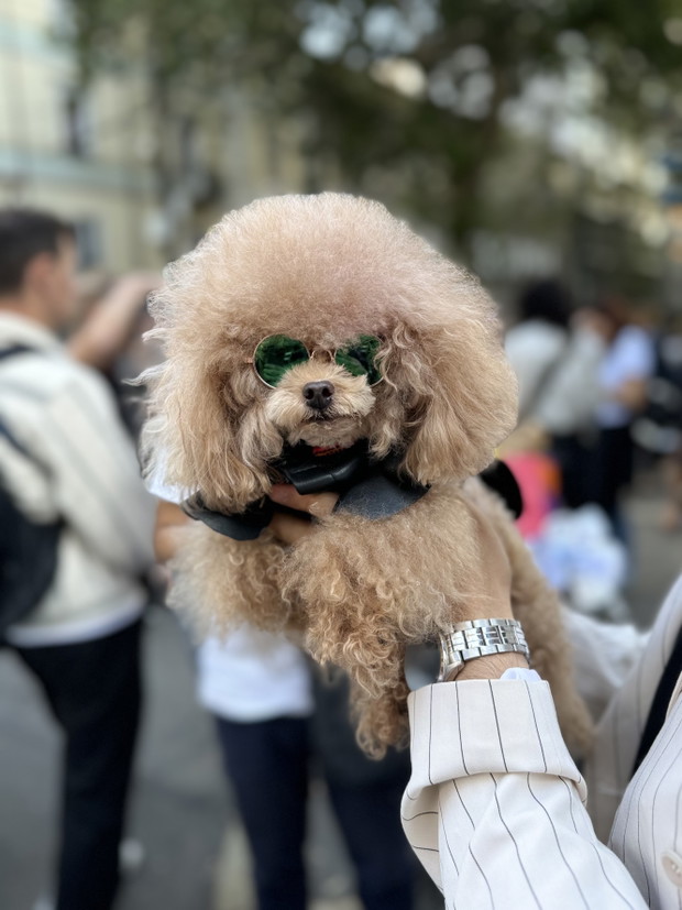 Milan Fashion Week 2025