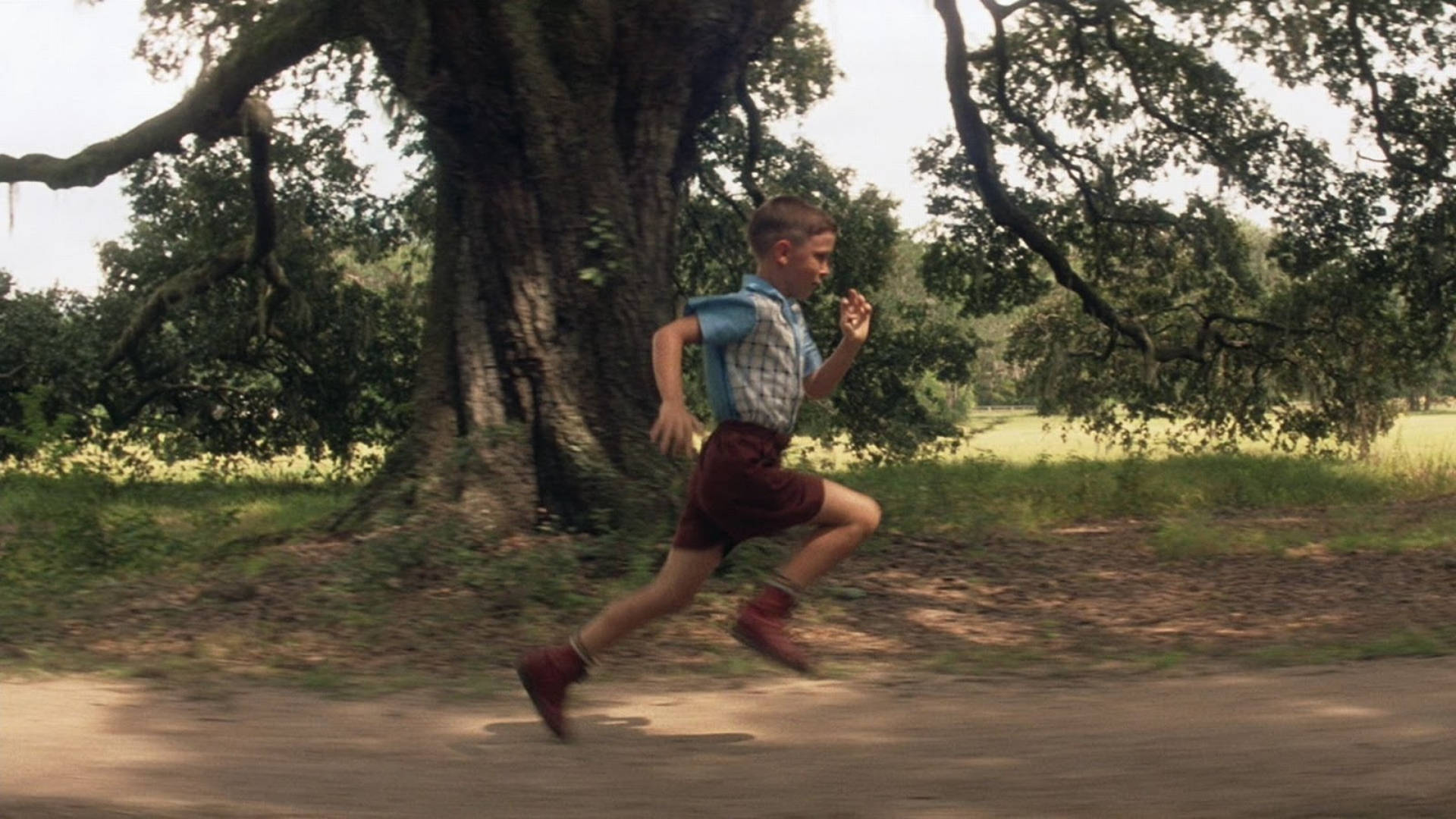 forrest gup