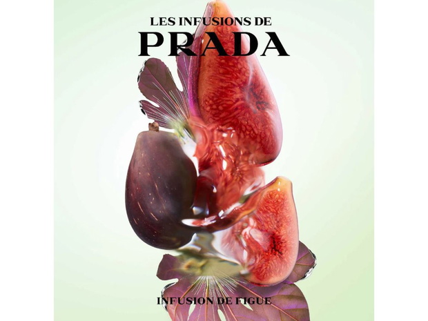 Infusions de Prada - Infusion Figue