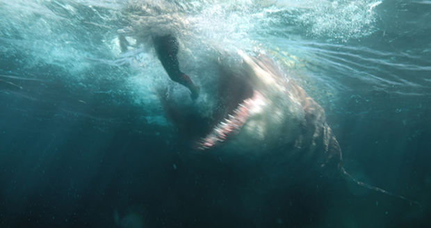 The Meg