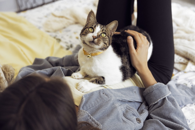 WHISKAS®