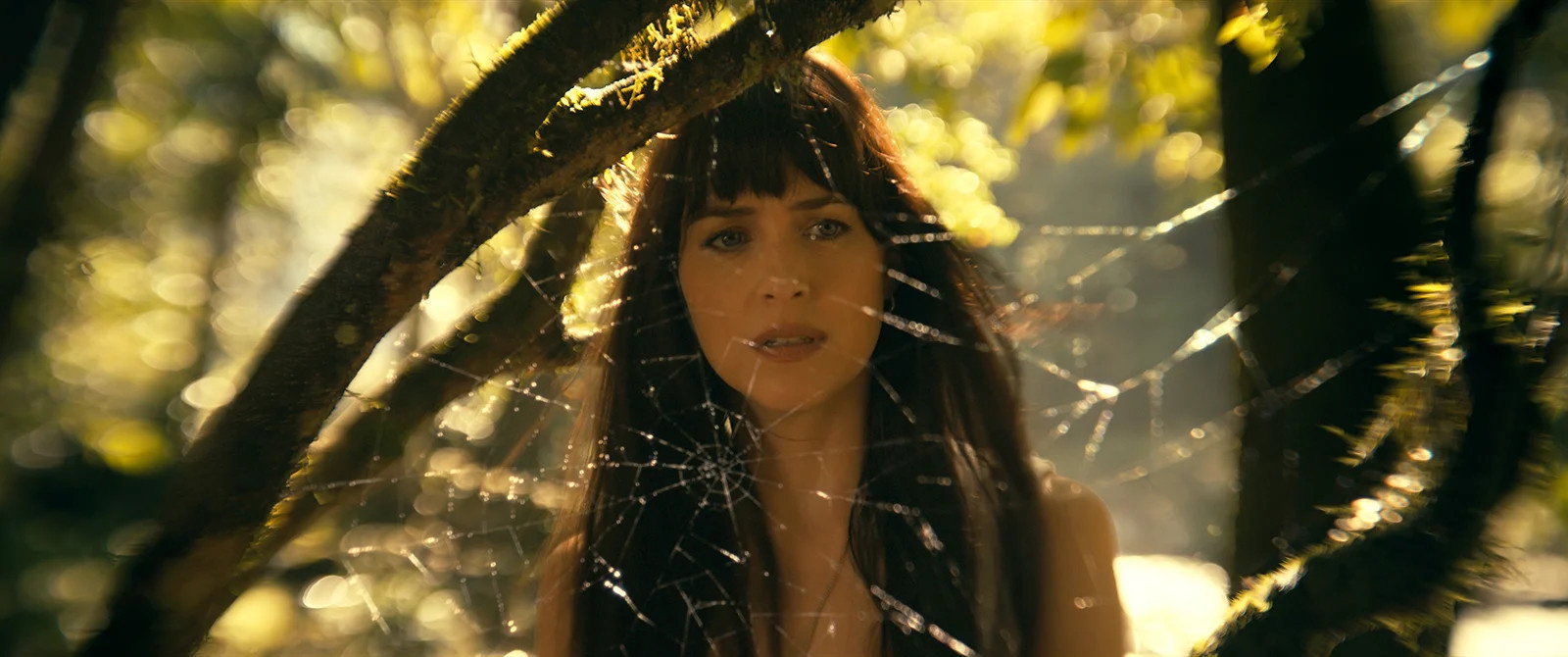 998253-madame-web-dakota-johnson-incarne-cassandra-webb-au-cinema-en-fevrier-2024