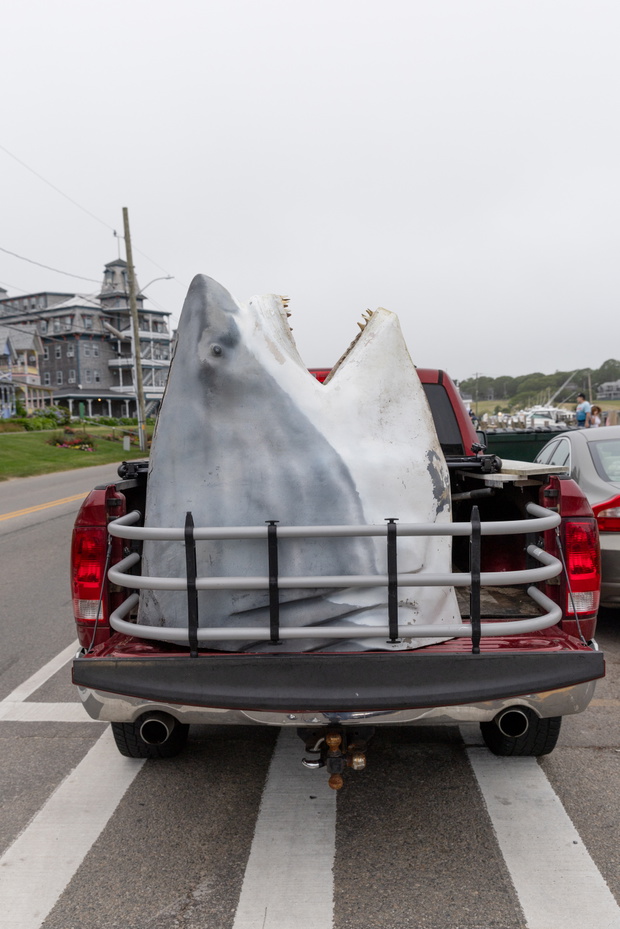 Martha's Vineyard Prepares To Celebrate 50th Anniversary Of Iconic Jaws Film