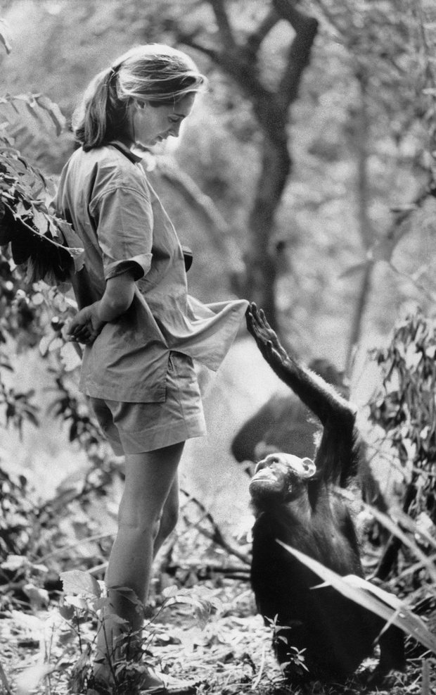 GettyImages-517215896 Bettmann