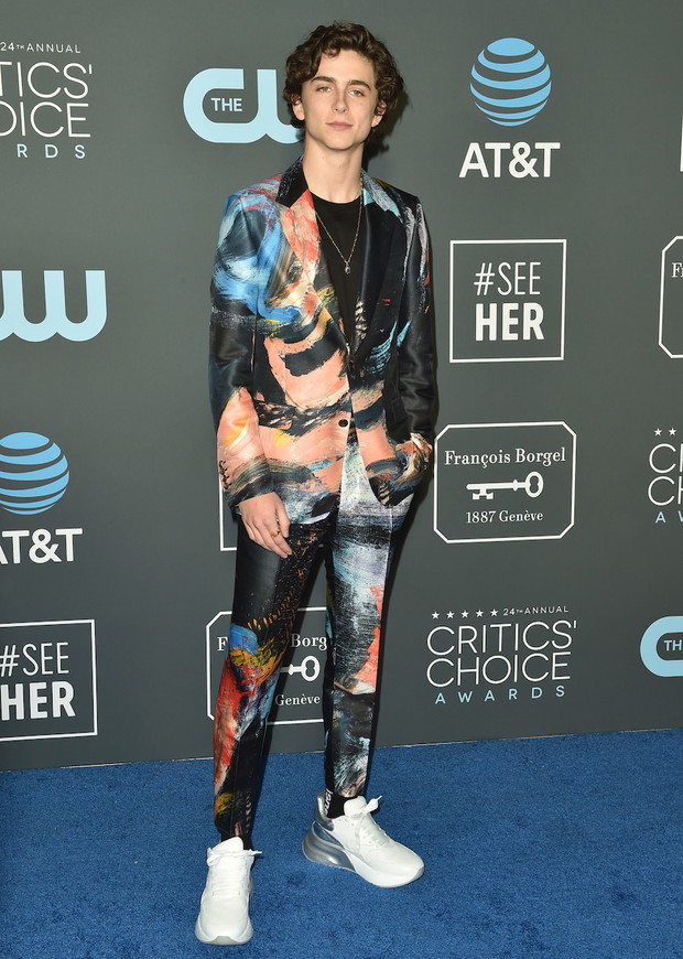 Critics’ Choice Awards 2019: Timothee Chalamet