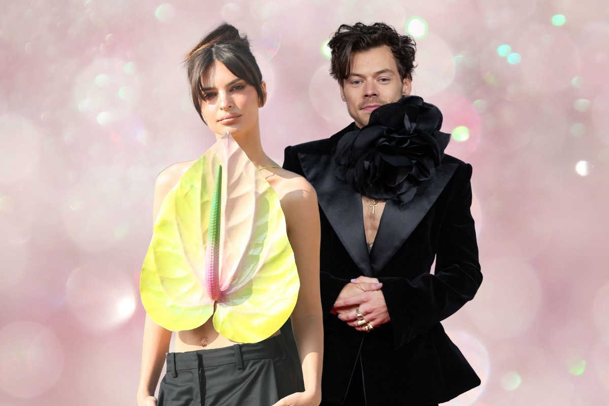 Emily Ratajkowski i Harry Styles