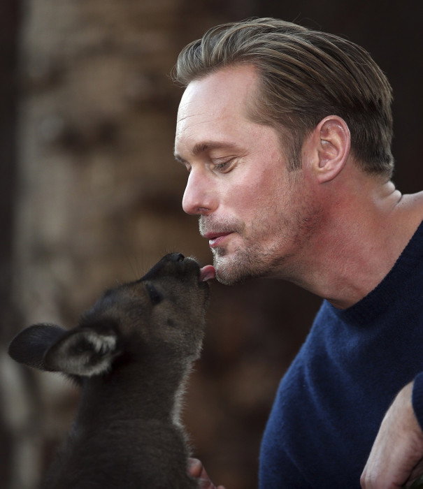 Alexander Skarsgard "Tarzan: Legenda" / fot. East News