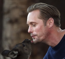 Alexander Skarsgard "Tarzan: Legenda" / fot. East News