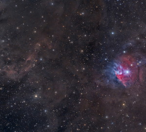 Horoskop tygodniowy na 31 stycznia – 6 lutego 2022 dla każdego znaku zodiaku. Co nam przyniosą początek Chińskiego Nowego Roku, nów w Wodniku i koniec (nareszcie!) retrogradacji Merkurego?