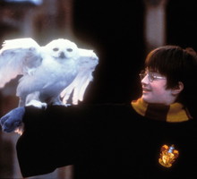 Powstanie serial na podstawie „Harry’ego Pottera”!