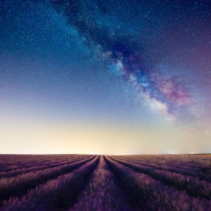 Horoskop tygodniowy miłosny na 11-17 października 2021 roku dla każdego znaku zodiaku. Sprawdź, co się wydarzy!