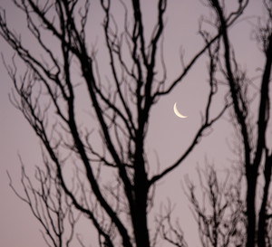 Horoskop tygodniowy na 4-10 października 2021 roku dla każdego znaku zodiaku. Jak nów księżyca wpłynie na twoje życie?