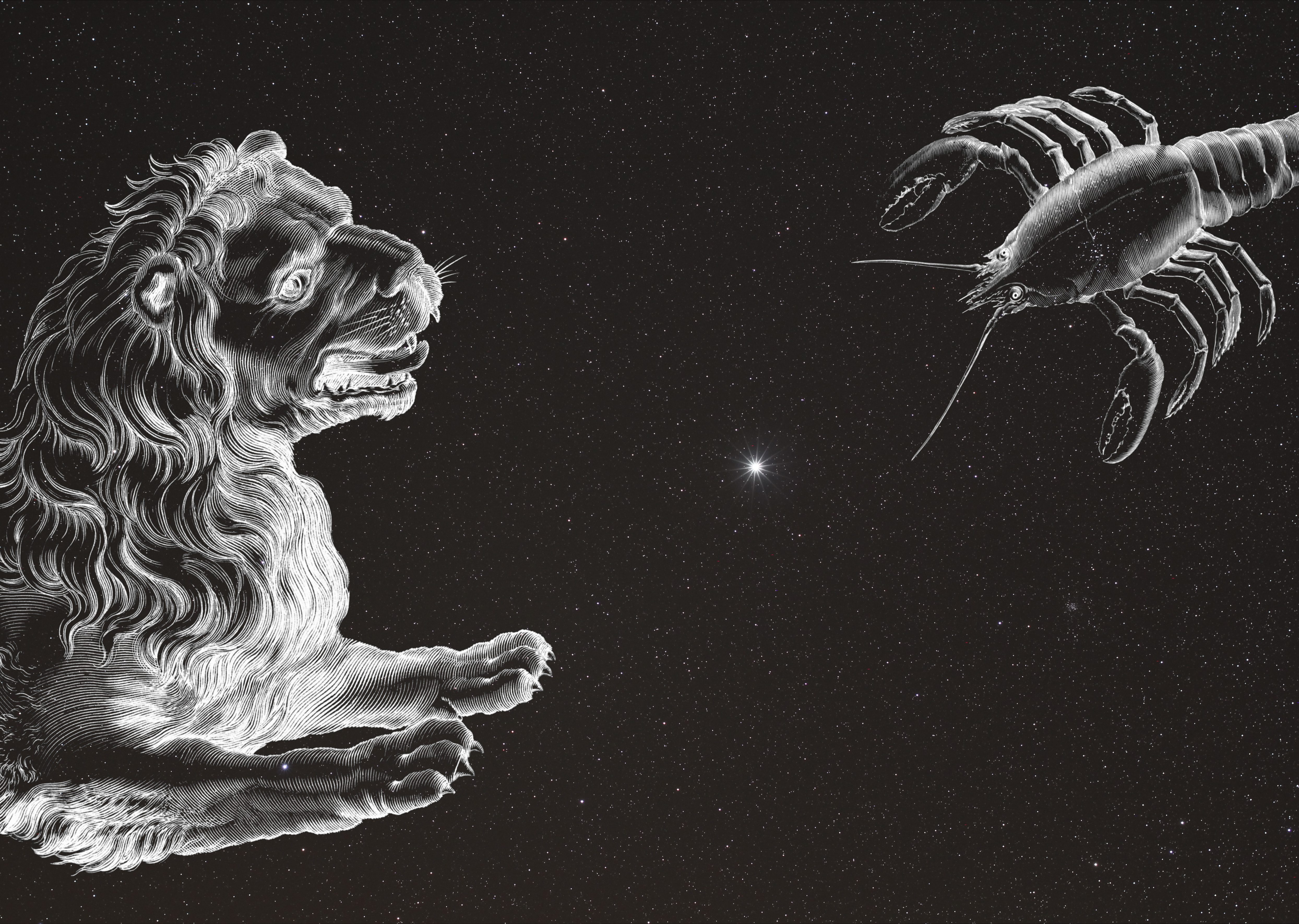 Horoskop 2025