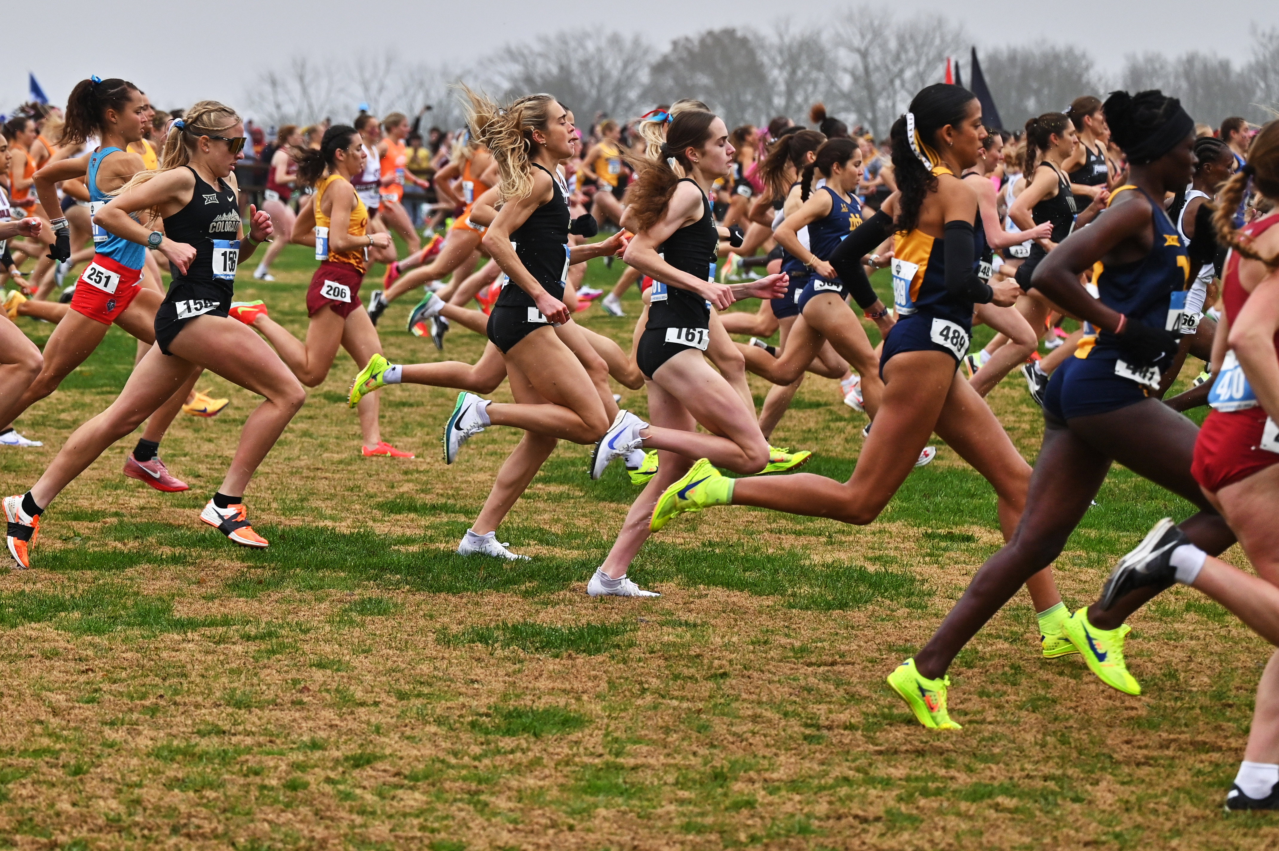 NCAA Division I Men's and Women's Cross Country Championships
