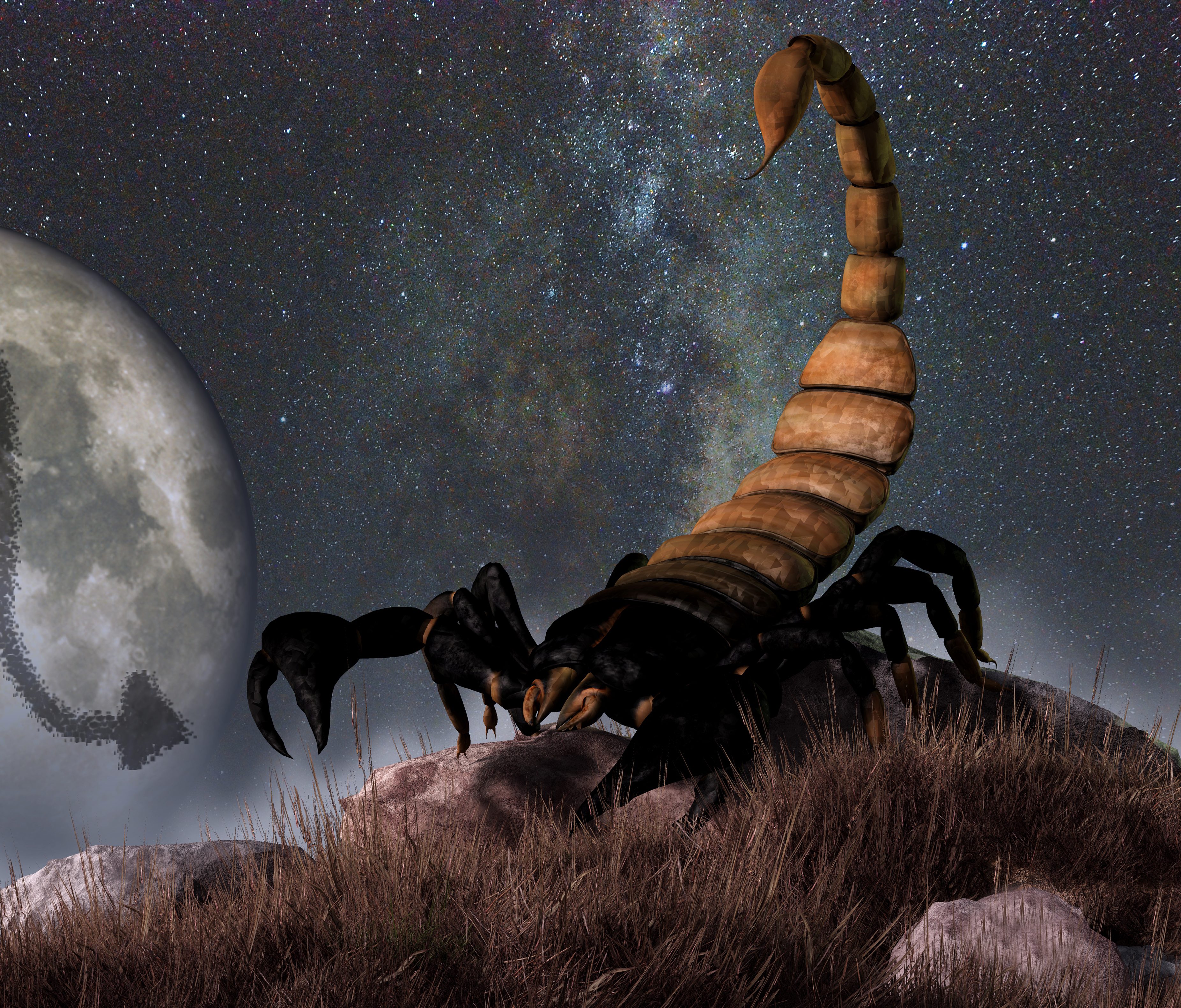 Scorpio is the eighth astrological sign of the Zodiac. Its symbol is the scorpion.