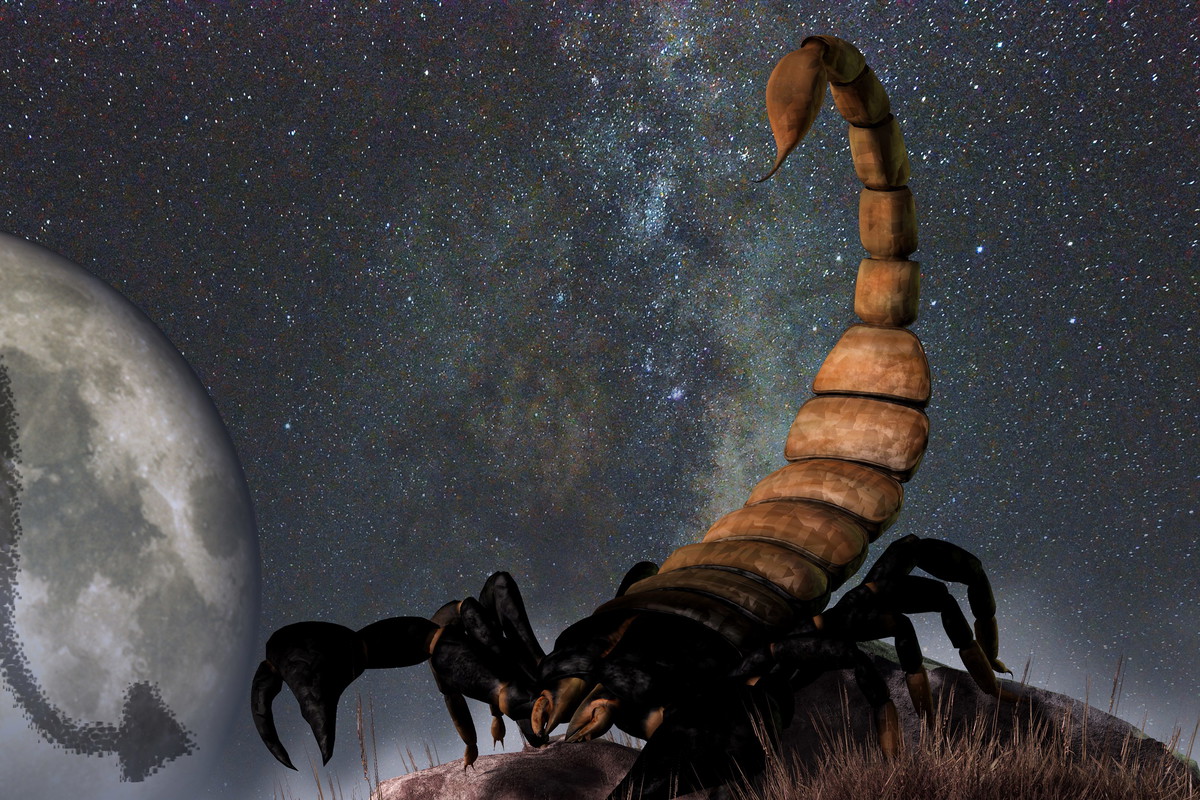 Scorpio is the eighth astrological sign of the Zodiac. Its symbol is the scorpion.