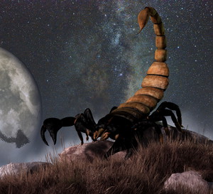 Scorpio is the eighth astrological sign of the Zodiac. Its symbol is the scorpion.