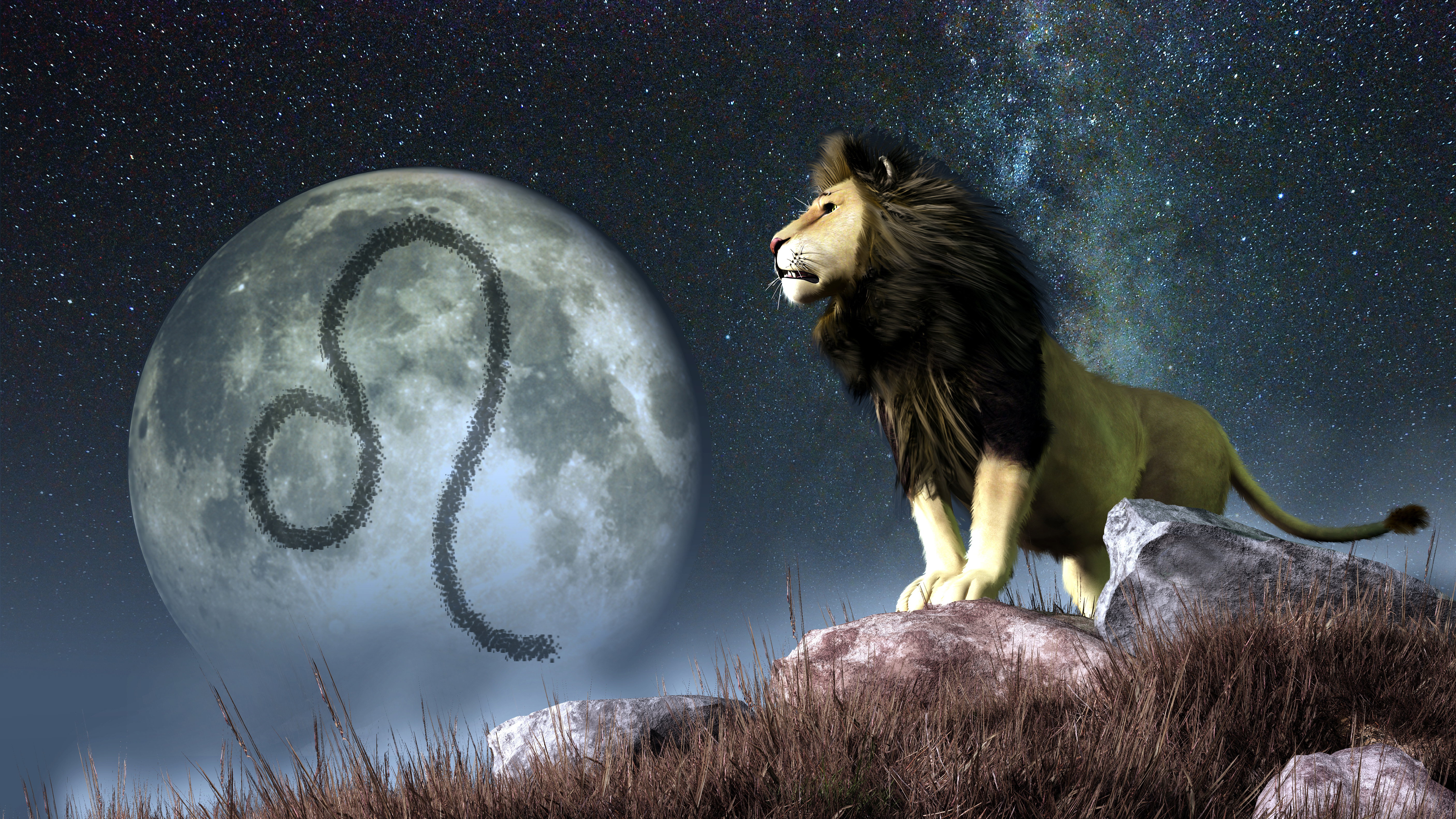 Leo is the fifth astrological sign of the Zodiac. Its symbol is the lion.