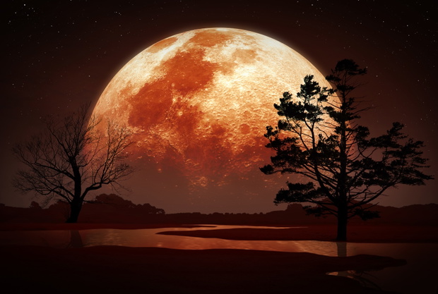 Artwork of Moon Behind Trees