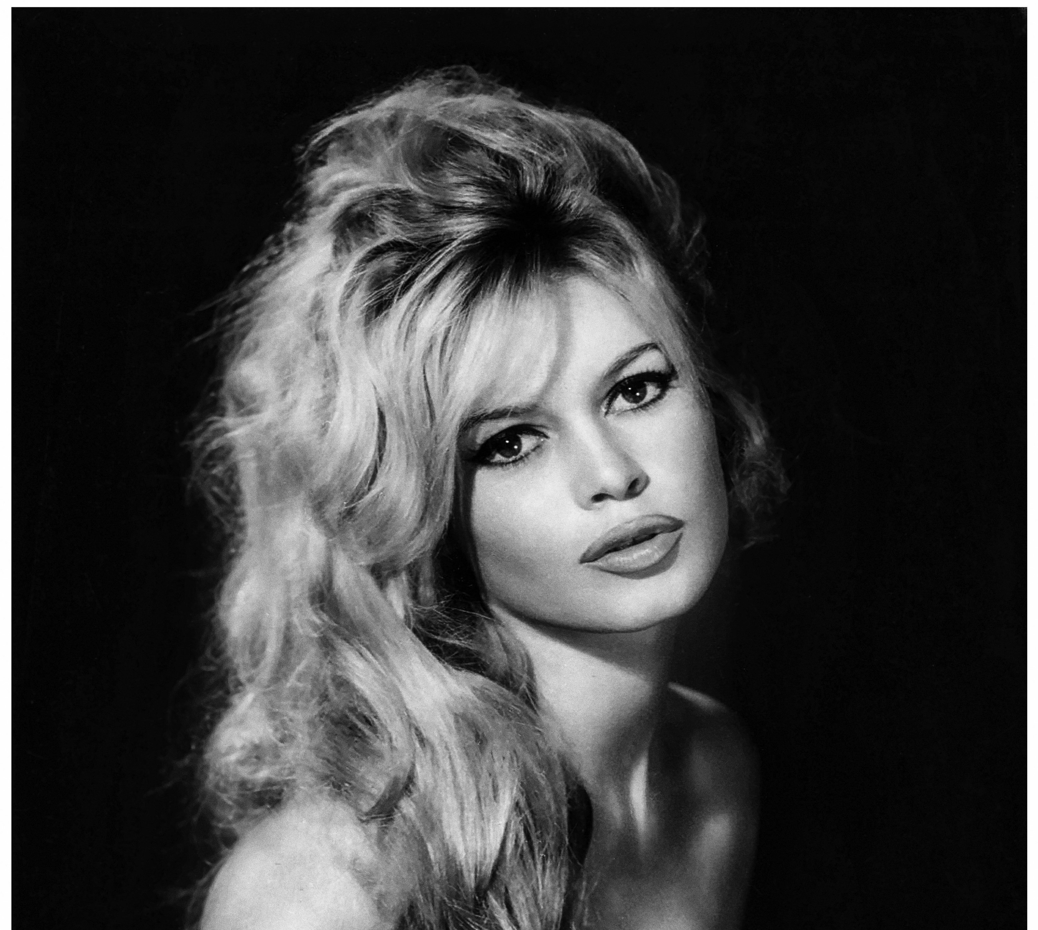 Portrait Of Brigitte Bardot