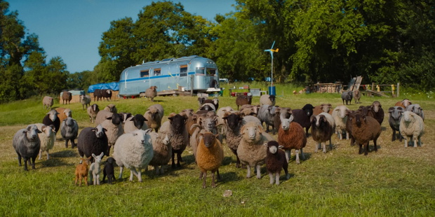 Sprawiedliwosc_owiec_kadr_05