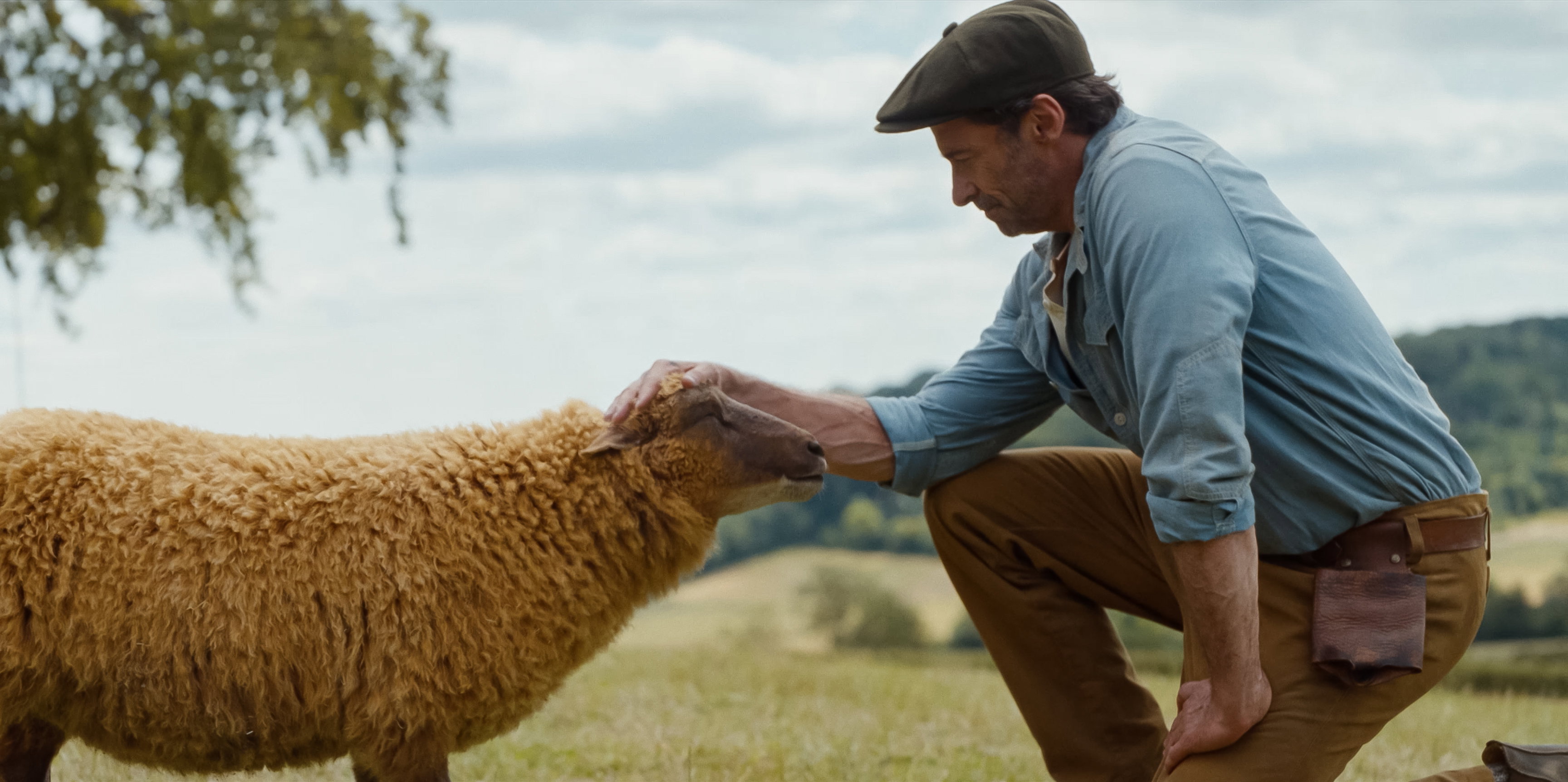 THE SHEEP DETECTIVES