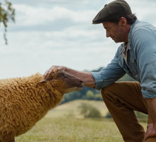 THE SHEEP DETECTIVES