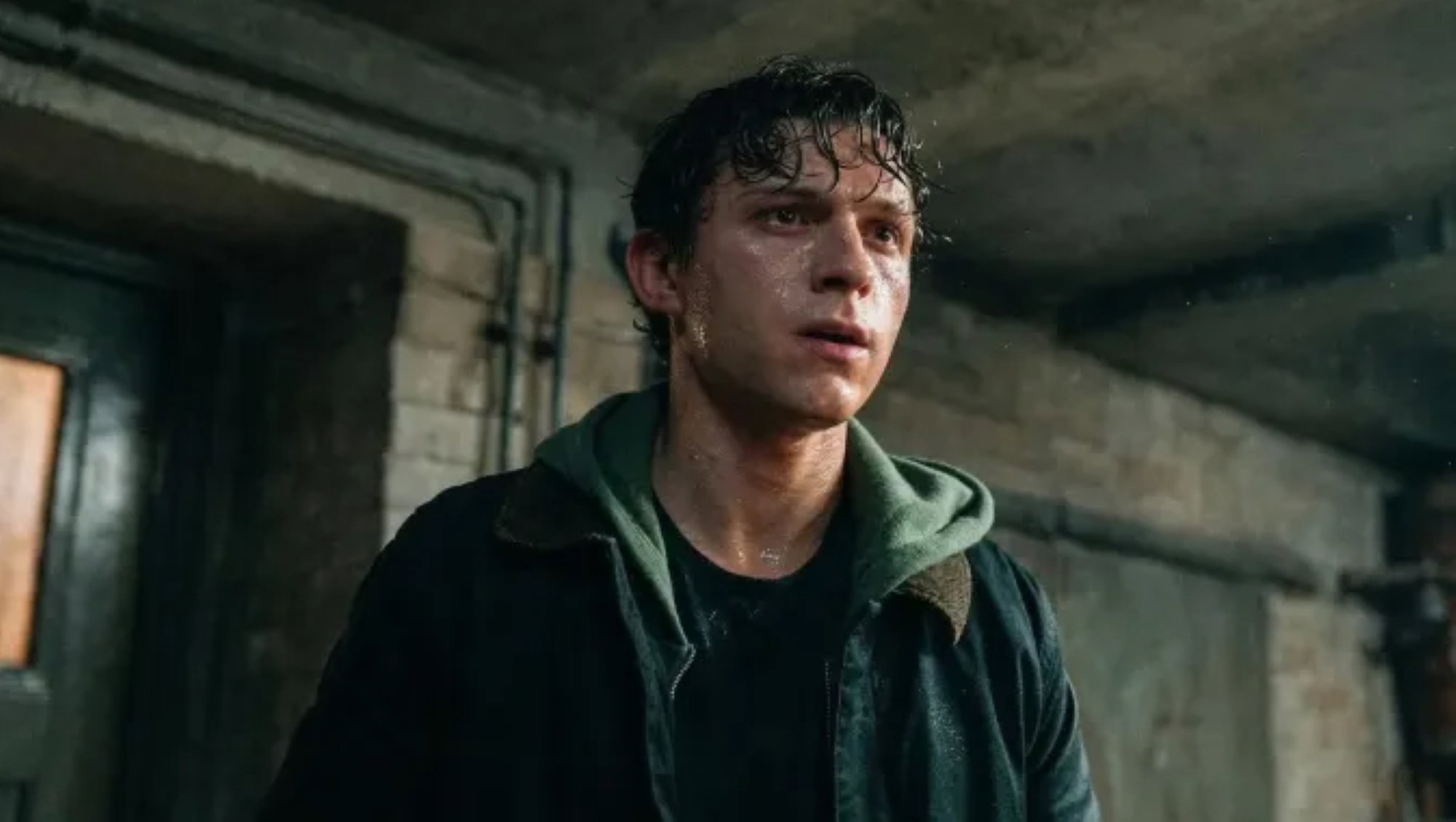 "Spider-man: brand new day", Tom Holland