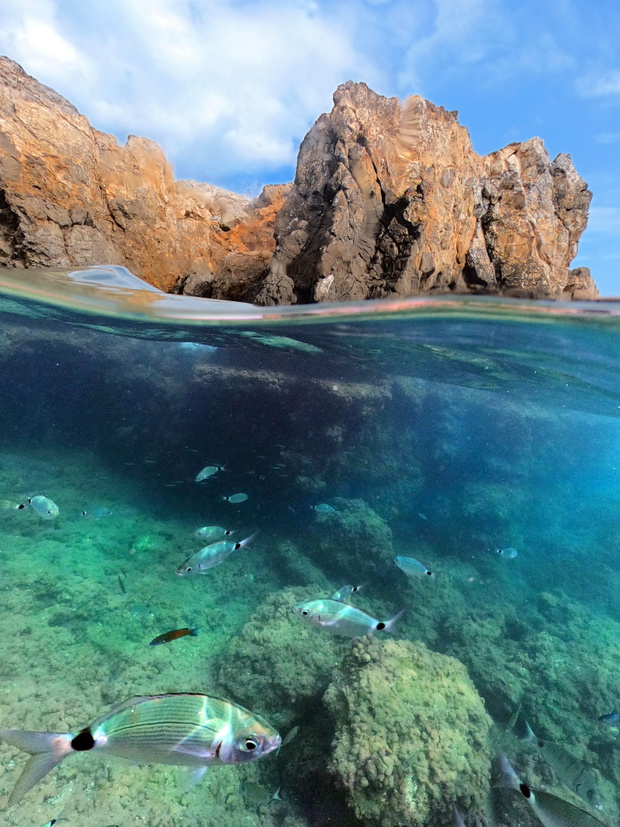 tabarca island seabeds