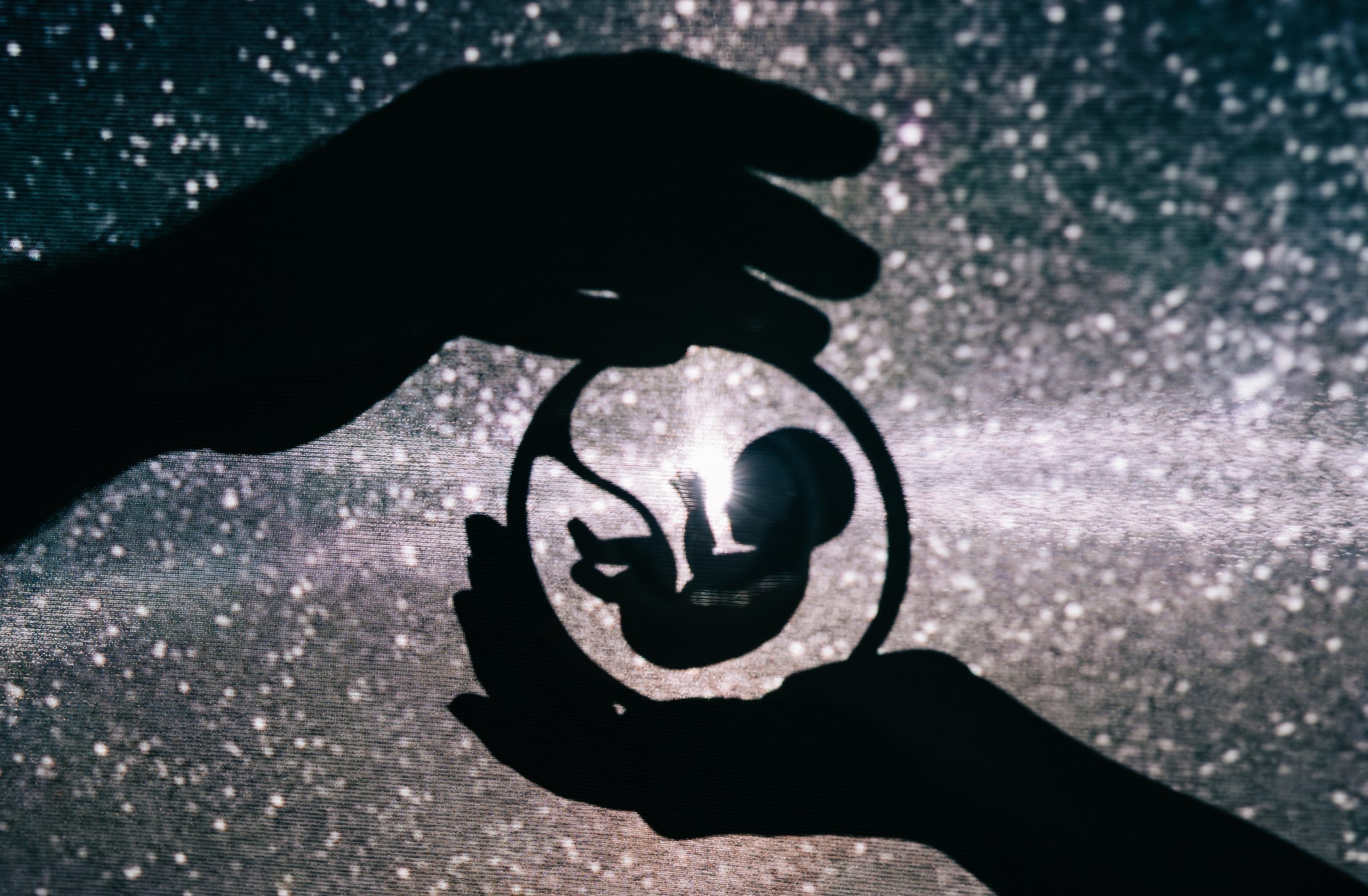 Dzieci urodzone w Roku Ognistego Konia 2026 czeka niezwykłe życie. Według chińskich astrologów mają odmienić świat