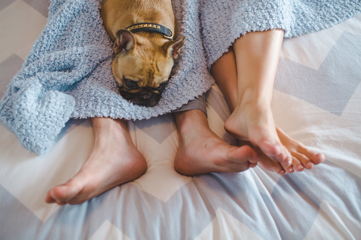 Feet with Dog