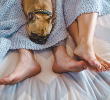 Feet with Dog