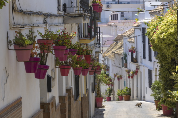 estepona
