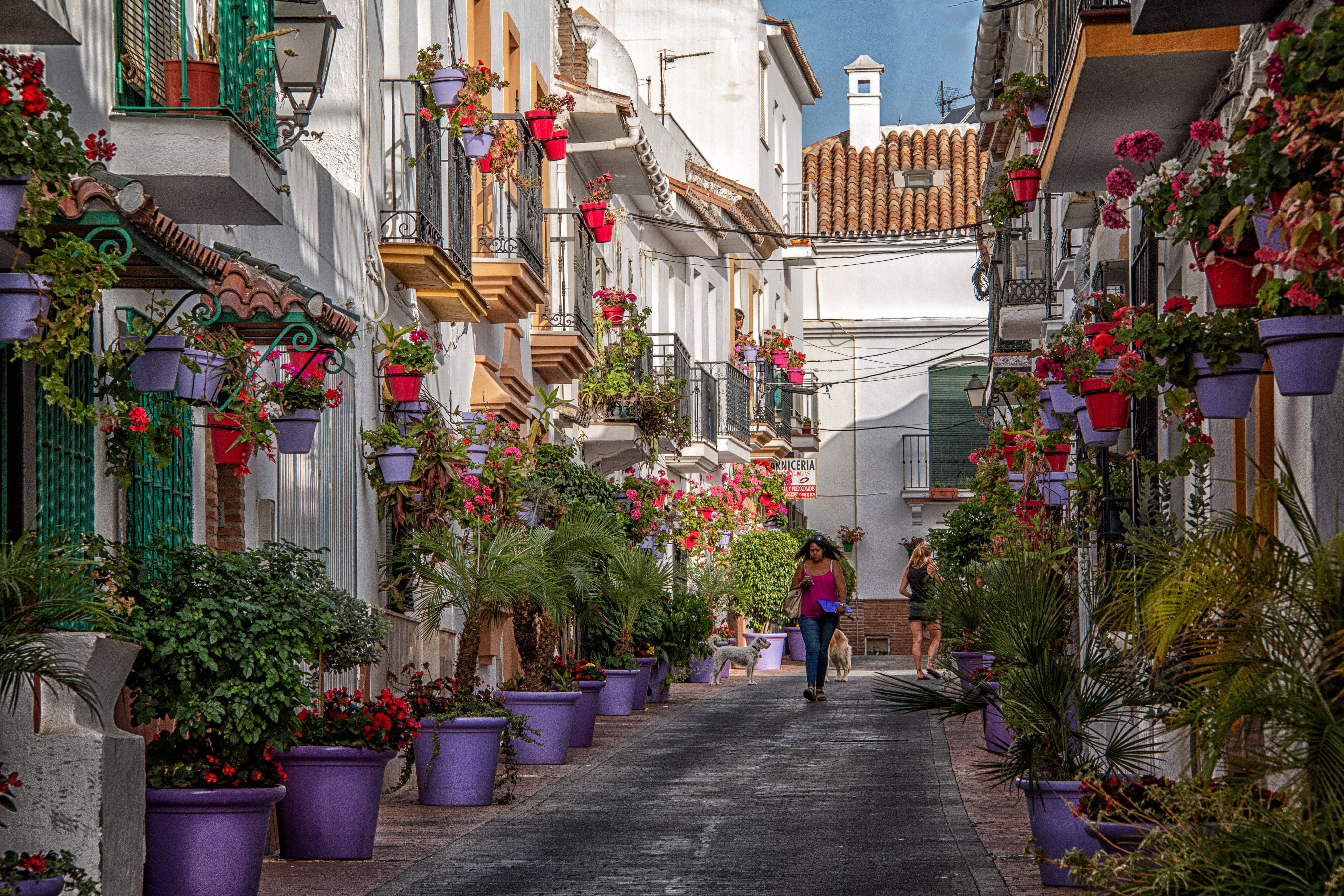 Estepona