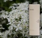 Zara Home White Jasmine