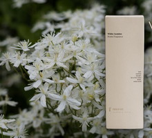 Zara Home White Jasmine