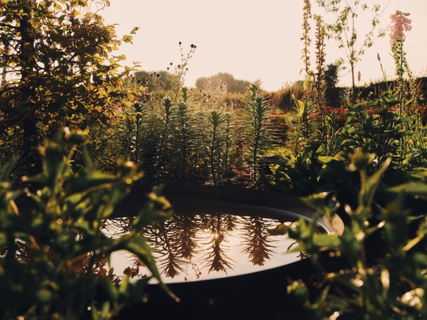New Balance – The Flimby Garden