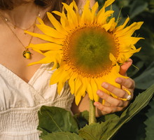 Sunflower manicure - modne paznokcie na koniec lata 2026