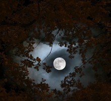 horoskop na jesień