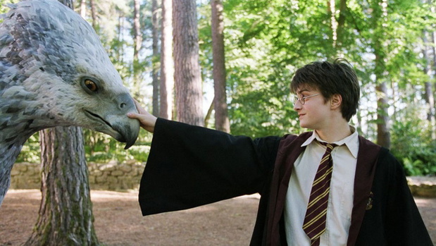 Harry Potter