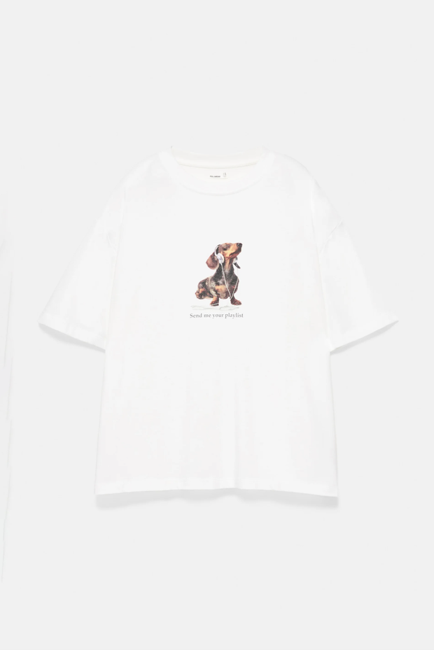 T-shirt z nadrukiem jamnika